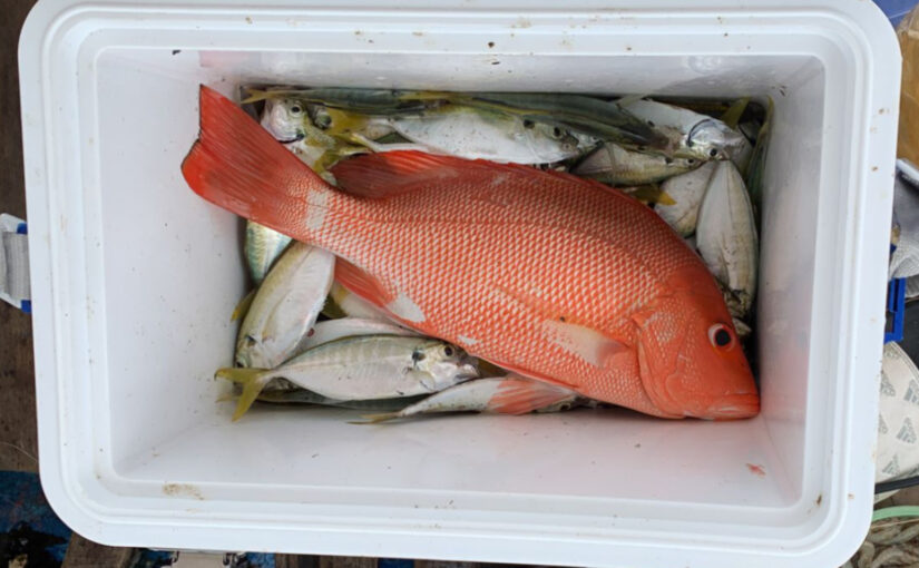 Teknik Mancing Kakap Merah – Bambangan